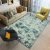 Minimalist Contrasting Colors Carpet