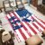 Flag Of America Eagle Print Carpet