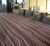 Dining Space Carpeting