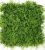 Green Plants Wall Decor